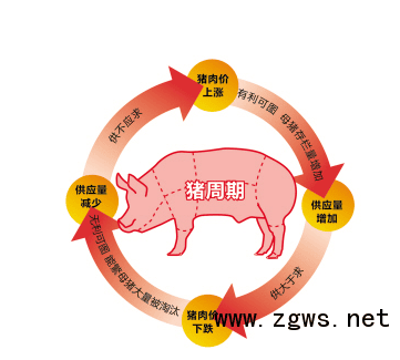 1，美国干旱导致大豆和玉米价格大幅上涨，间接推高了国内养殖成本。