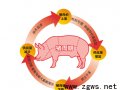 全国猪肉价格稳中见涨国内饲料价格的上涨是直接推动因素