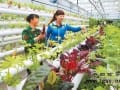 武威金帆农业科技公司投资1200万元建成占地200亩的农业科技孵化园