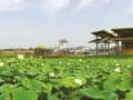 精心打造都市型农业核心示范区