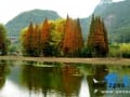 贵州：第16个世界湿地日 专家云集威宁建议立法保护
