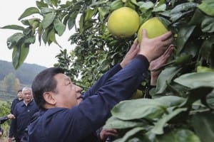 习近平赴湘西调研扶贫攻坚