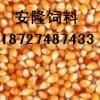 《安隆》每月求购干玉米3600吨