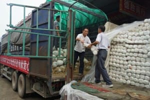 心系鲁甸灾区 武汉白沙洲市场运送70吨蔬菜至云南