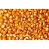 四川长期大量求购玉米，高粱，大米碎米，木薯淀粉