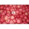 苹果山东红富士苹果供应 价低量大 质量保障