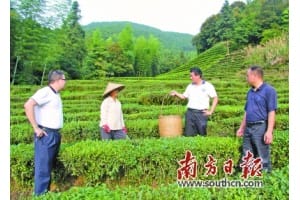 精准帮扶 村民人均纯收入翻两番达1.3万