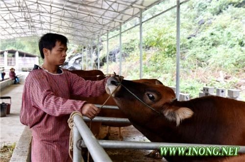 广西上林县：身残志坚勇逐梦 返乡创业谋致富