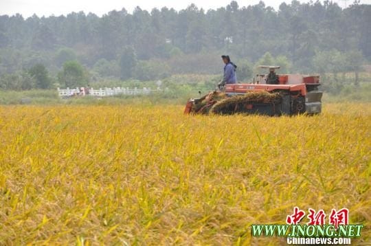 农业部：近期局部地方农地流转增速或有所放缓