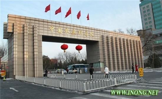 中国农业科学院：纳米技术可提高农药使用安全性