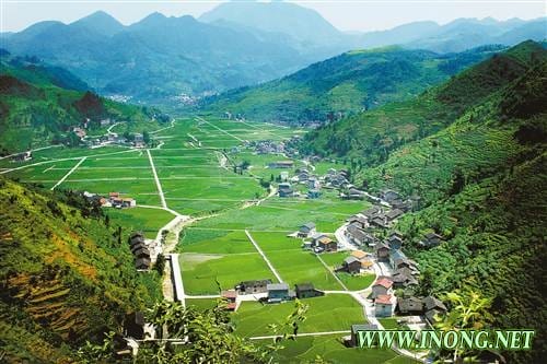 重庆市农业综合开发 高标准农田达169万亩