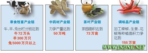 年重庆农业工作要点发布 七大特色产业链建设明确目标任务