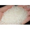 绵竹酒厂常年求购大米、碎米