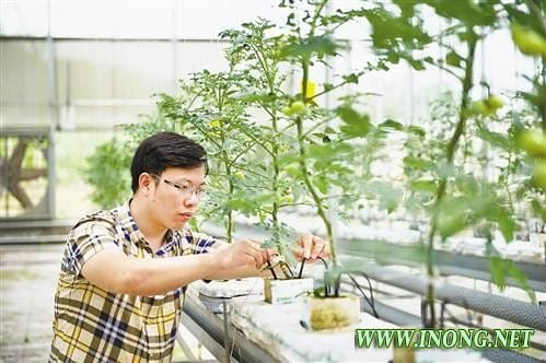 感受新型生态循环农业—— 猪舍自动化喂食、抽粪 废弃物100%循环利用