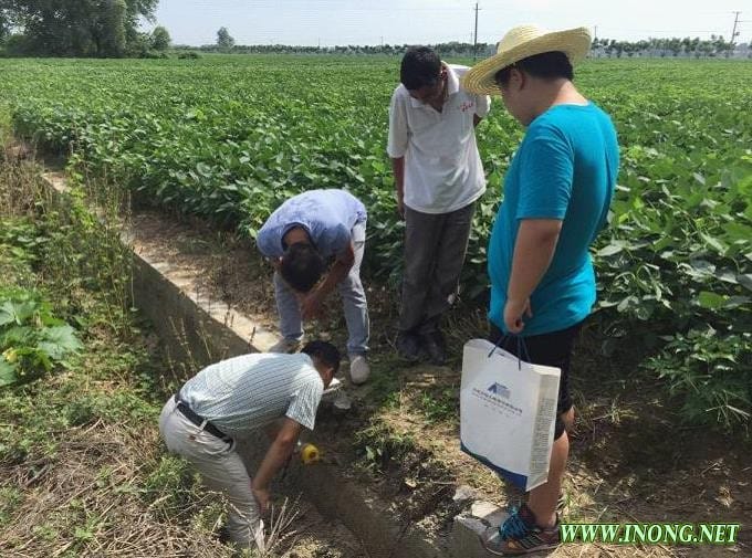 湖北钟祥：重点关注农业基础设施项目建设情况