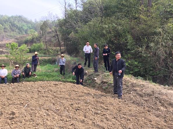 湖北郧西：稳定粮油生产，助推脱贫攻坚