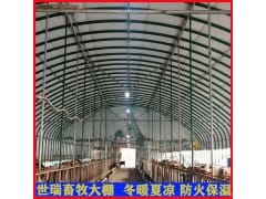 新型养牛大棚施工 钢架养牛棚建设 养牛场牛舍规划设计