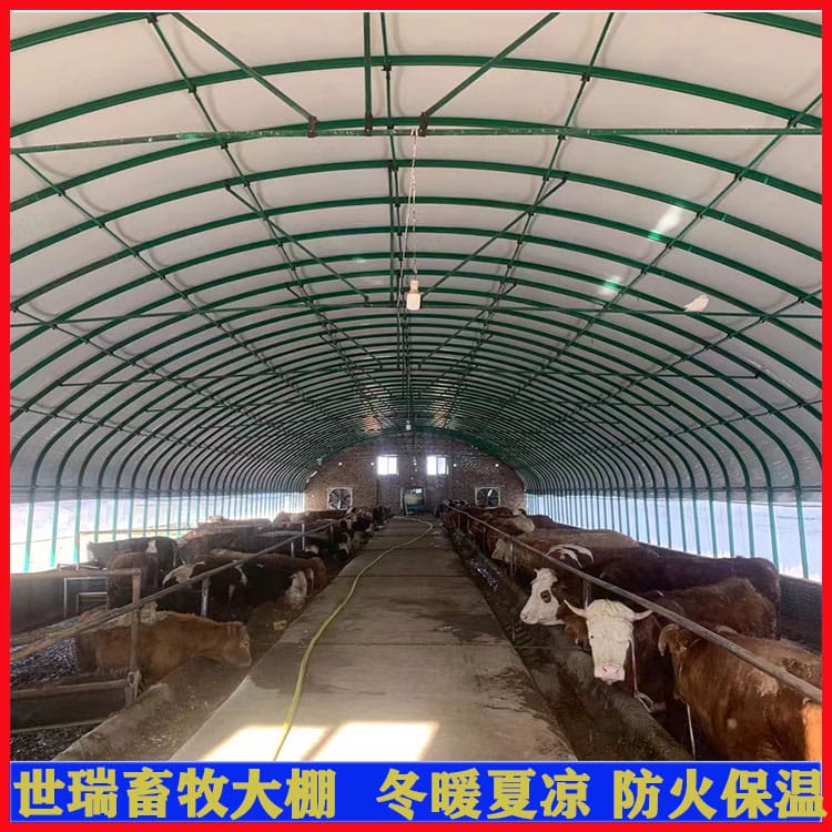 建设养牛大棚 牛棚施工搭建 黄牛养殖大棚安装