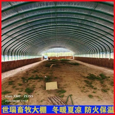 养羊大棚搭建价格 建设羊舍大棚 建养羊棚厂家