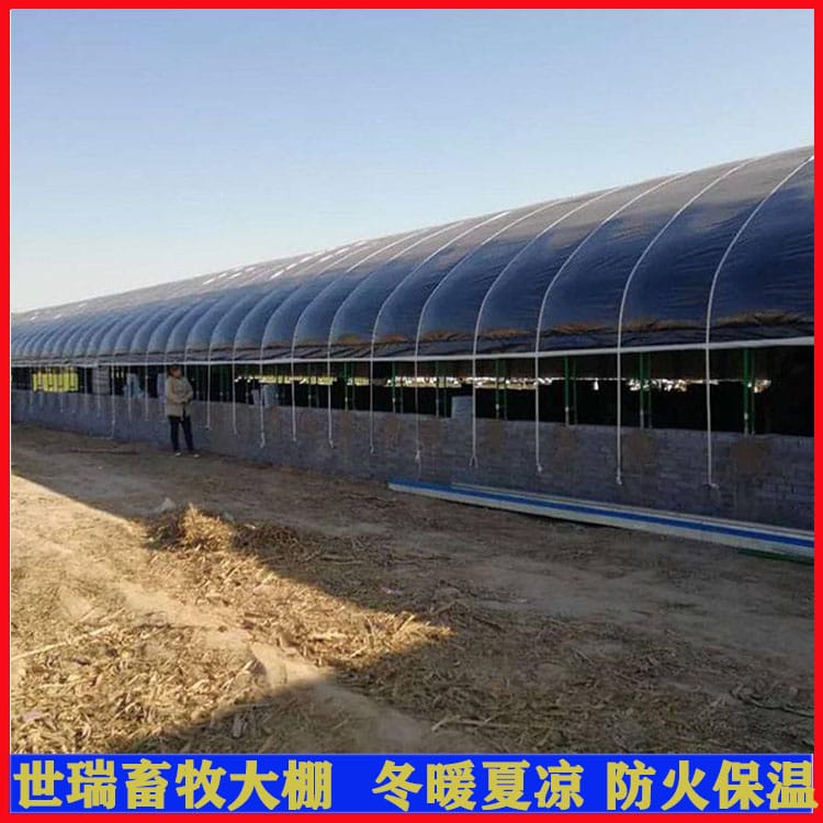 养牛场牛棚搭建 钢架牛舍大棚建设 肉牛养殖大棚安装